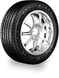 Eagle Sport
